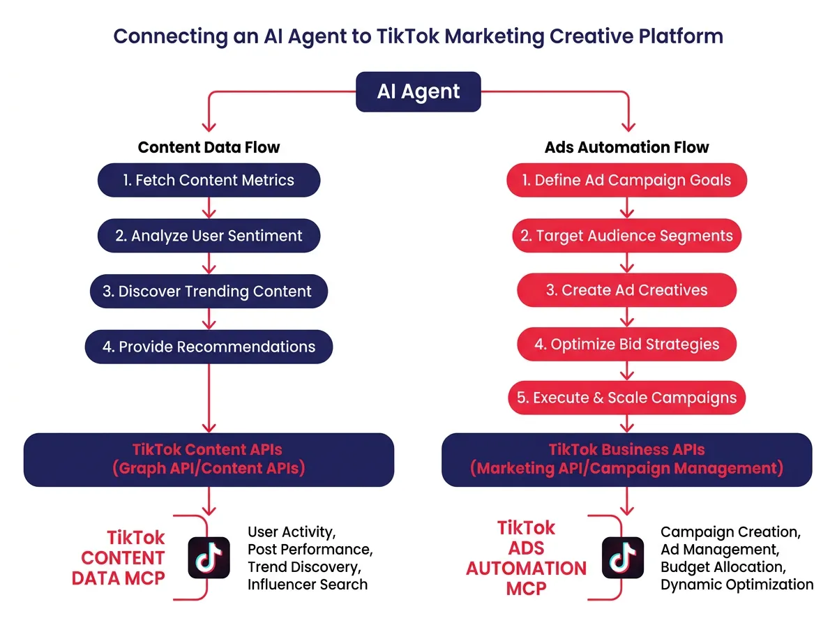 แผนภาพขั้นตอนแสดงวิธีที่ AI Agent เชื่อมต่อกับ TikTok MCP ผ่านสองเส้นทาง: เส้นทาง Content Data ทางซ้ายและเส้นทาง Ads Automation ทางขวา